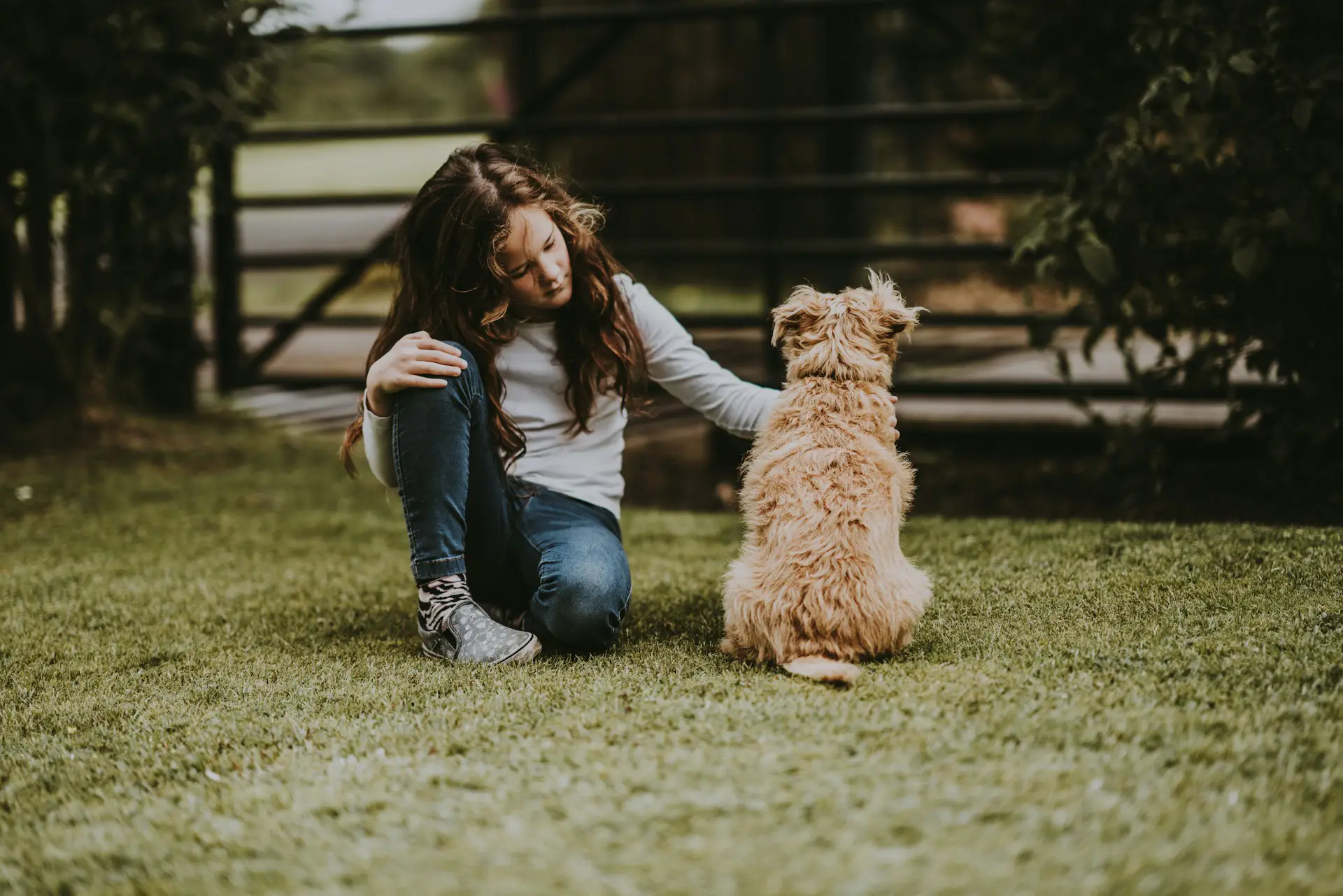 Speciaal voor kinderen: veilig omgaan met honden